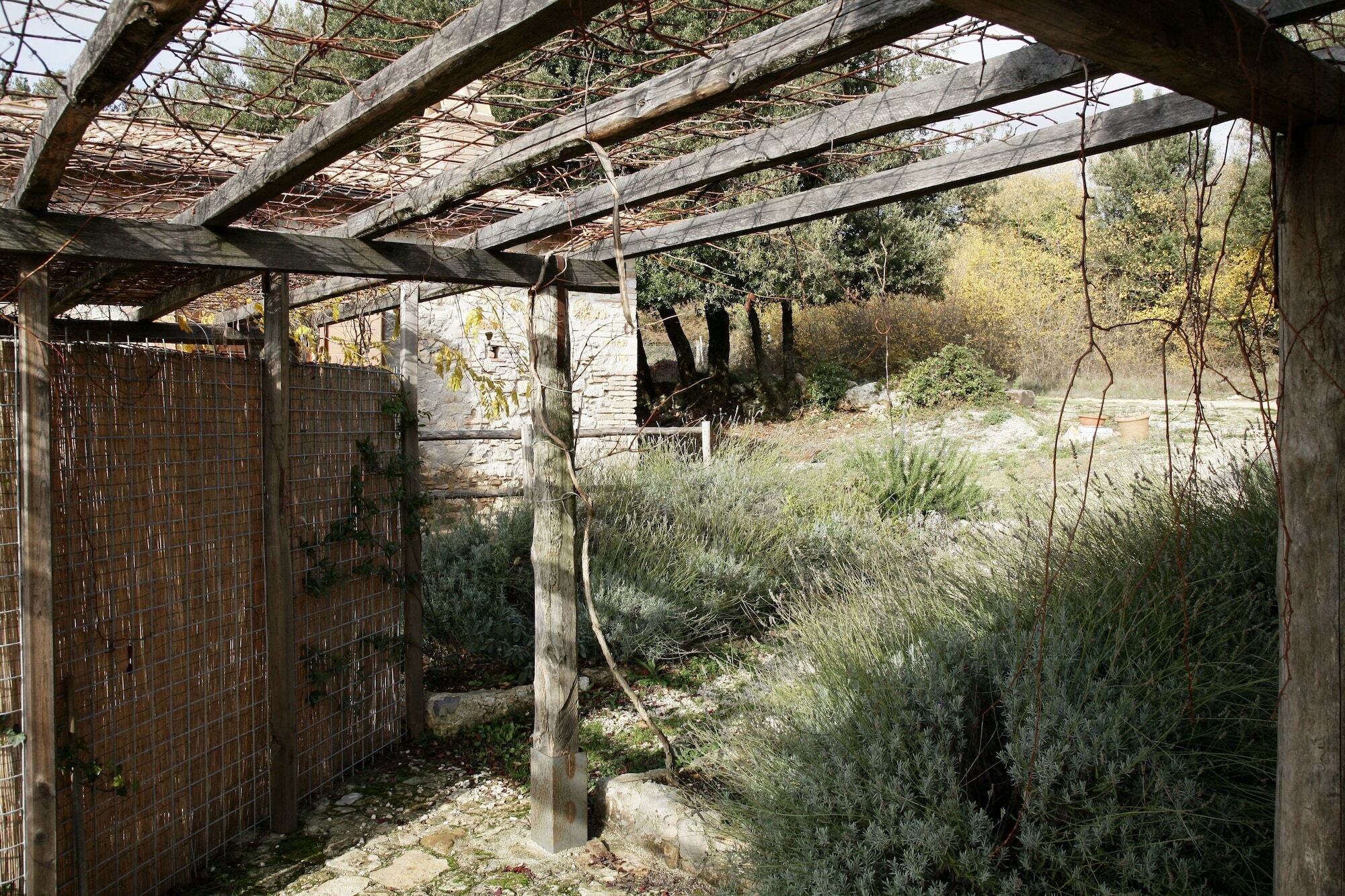 Agriturismo Surripa Amelia Εξωτερικό φωτογραφία